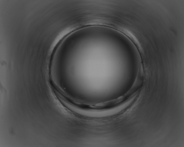 X0000090981138200708021453