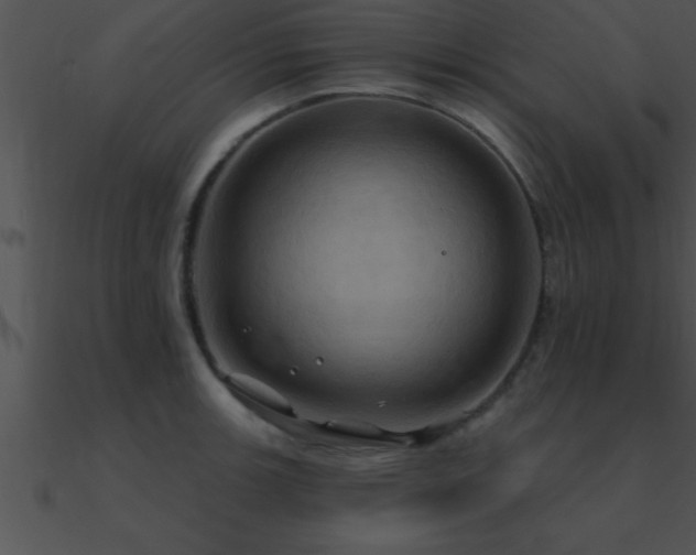 X0000090981139200708021453