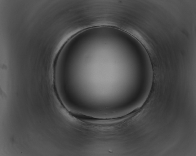 X0000090981140200708021453