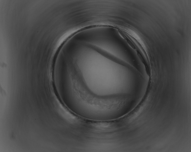 X0000090981141200708021453