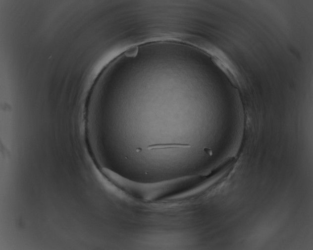 X0000090981143200708021453