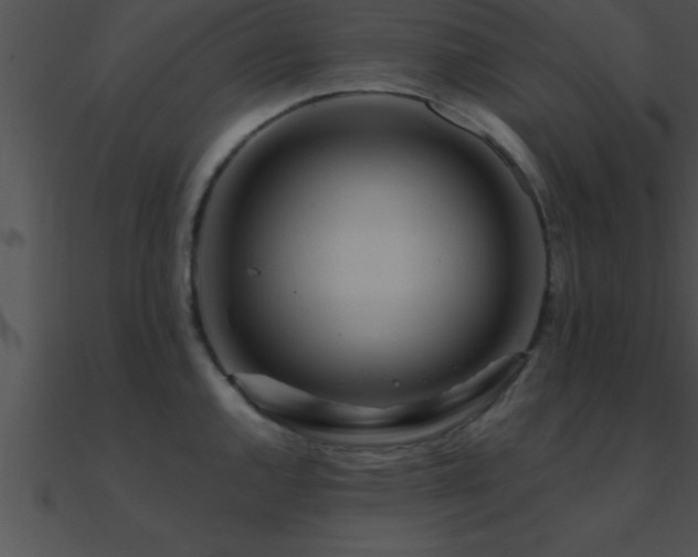 X0000090981144200708021453