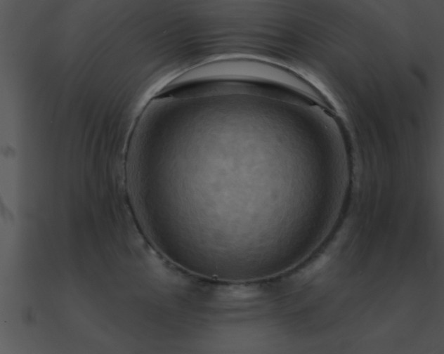 X0000090981145200708021453