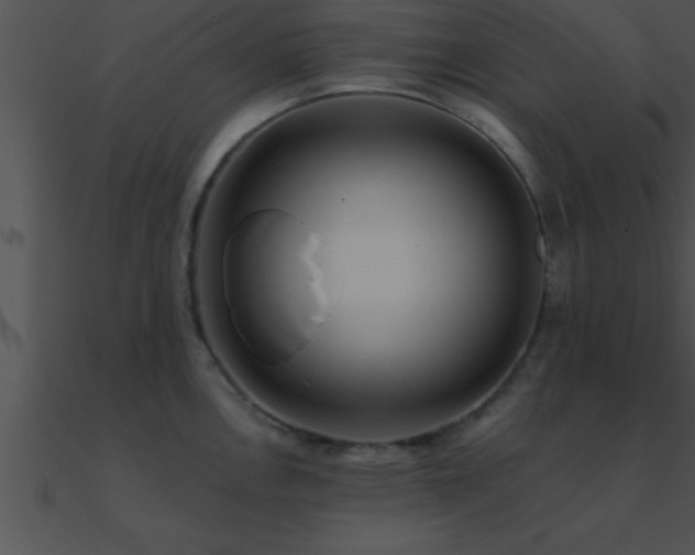 X0000090981146200708021453
