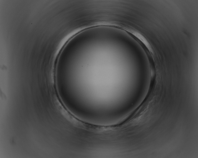 X0000090981148200708021453