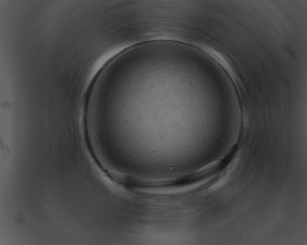 X0000090981149200708021453