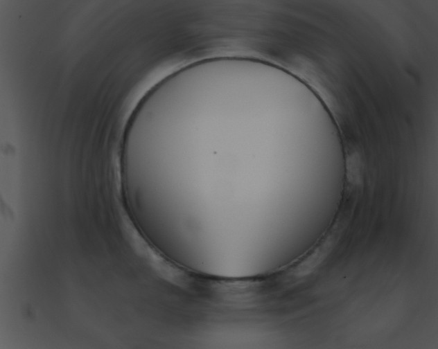 X0000090981150200708021453