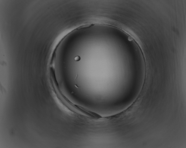 X0000090981152200708021453