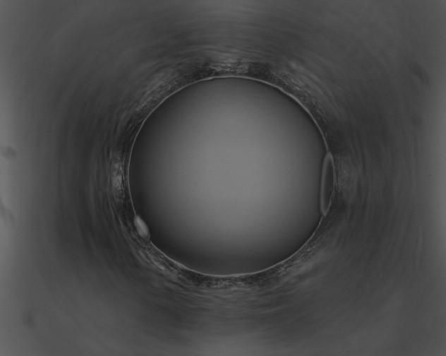 X0000090981154200708021452