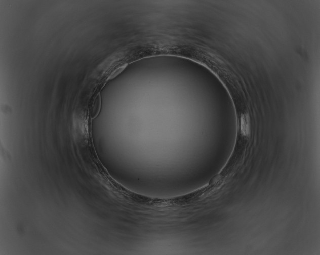 X0000090981155200708021452