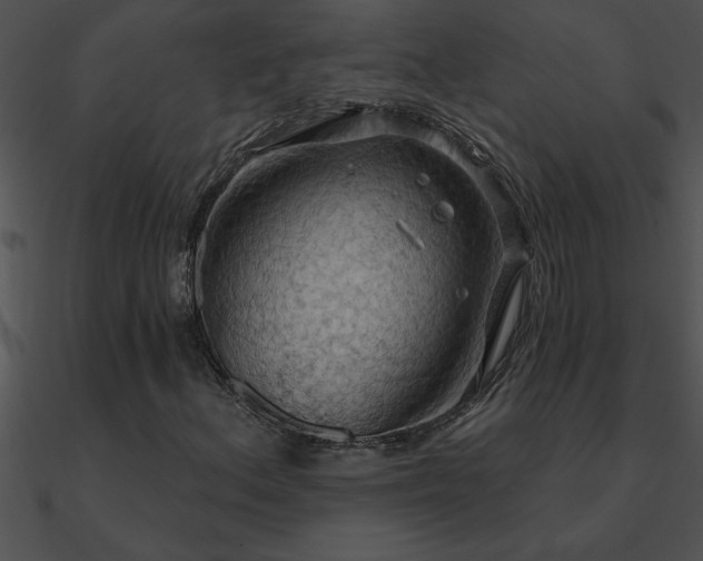X0000090981156200708021452