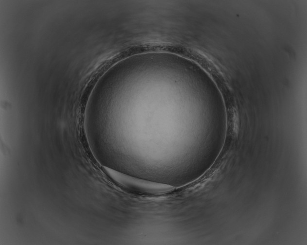 X0000090981157200708021452