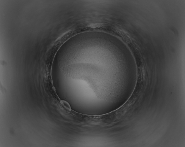 X0000090981158200708021452