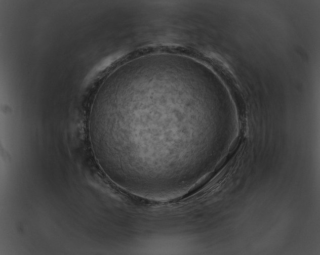 X0000090981159200708021452