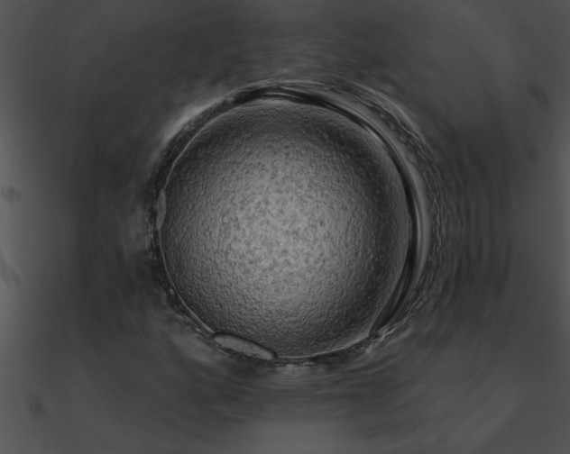 X0000090981160200708021452