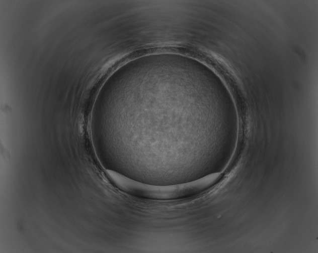X0000090981161200708021452
