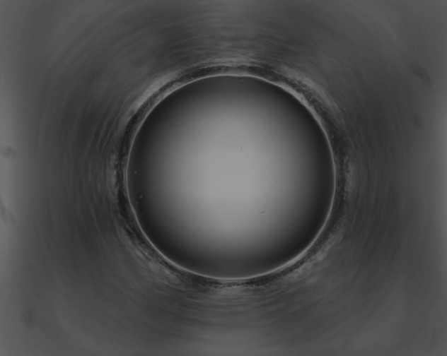 X0000090981162200708021452