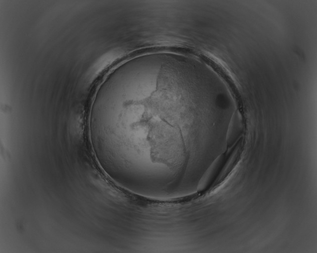 X0000090981163200708021452