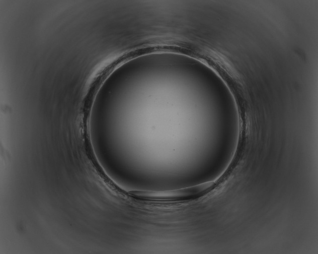 X0000090981164200708021452