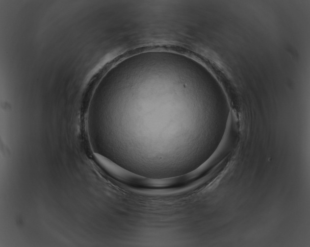 X0000090981165200708021452