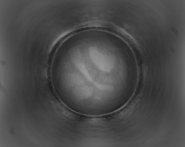 X0000090981166200708021452