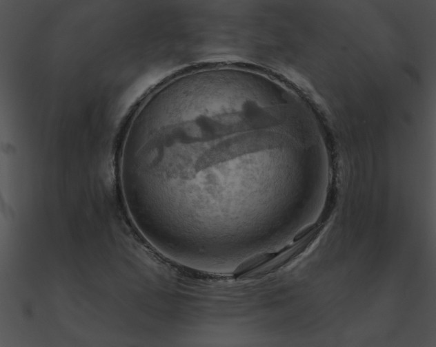 X0000090981167200708021452