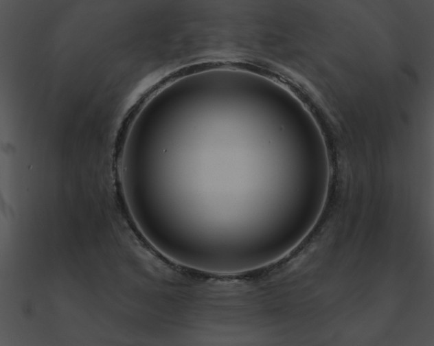 X0000090981168200708021452