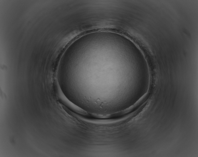 X0000090981169200708021452