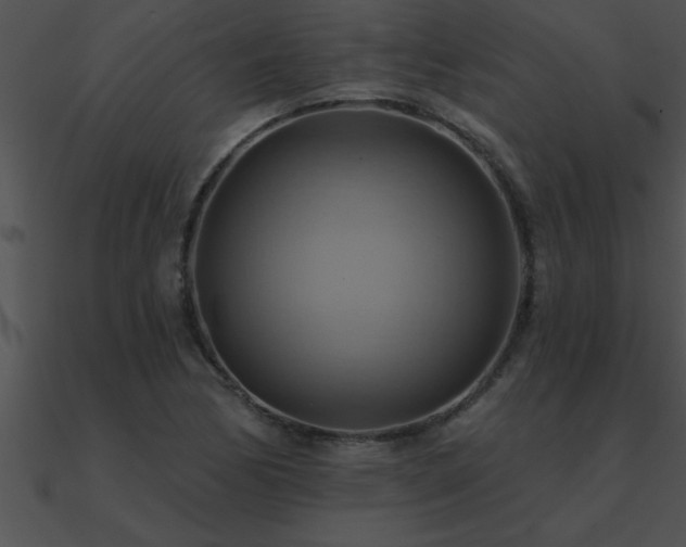 X0000090981170200708021452