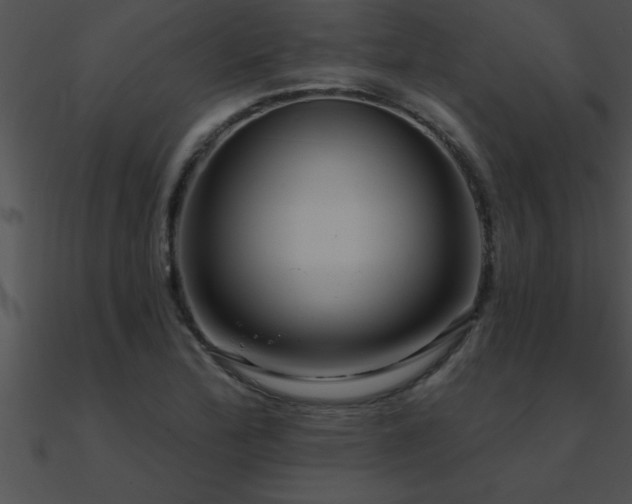 X0000090981172200708021452