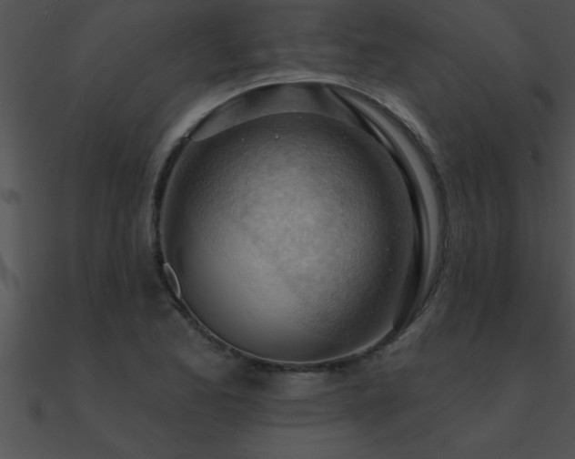 X0000090981173200708021452