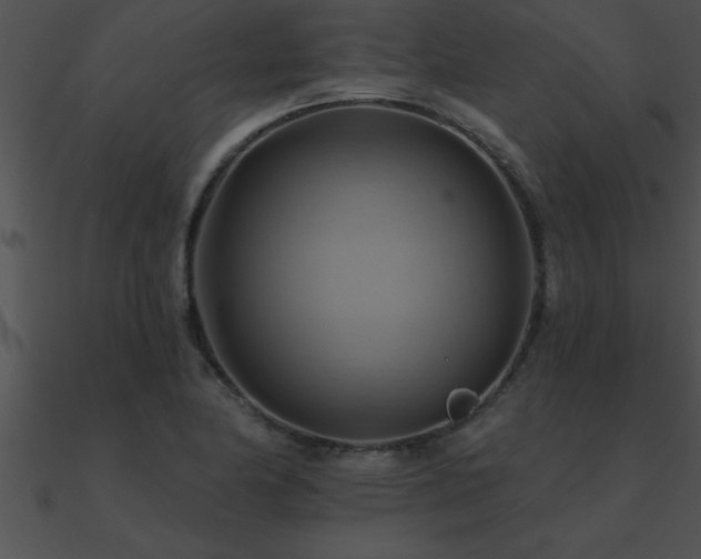 X0000090981174200708021452