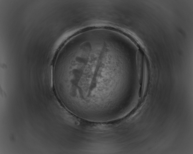 X0000090981175200708021452