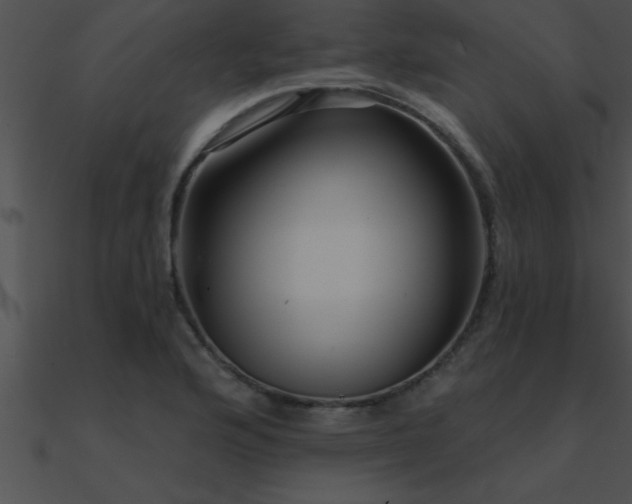 X0000090981176200708021452