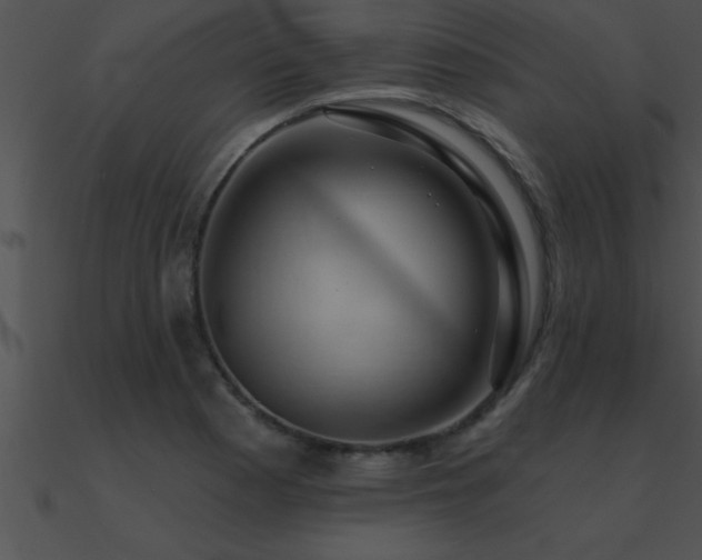 X0000090981177200708021452