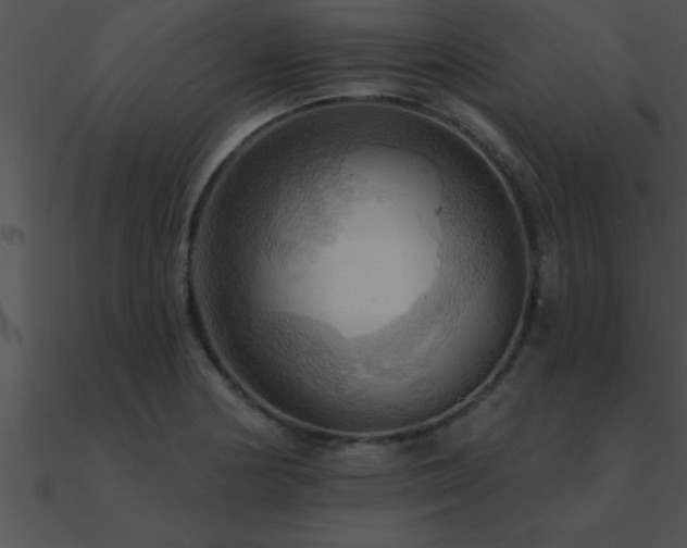 X0000090981178200708021452
