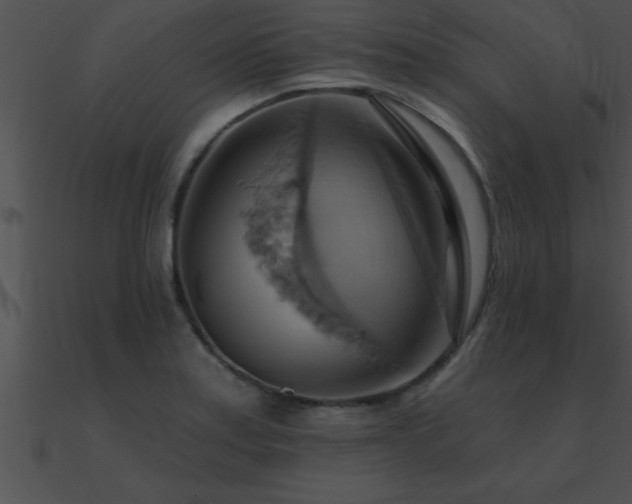 X0000090981179200708021452