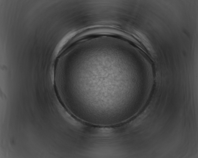 X0000090981180200708021452