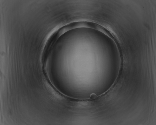 X0000090981181200708021452