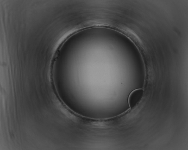 X0000090981182200708021452