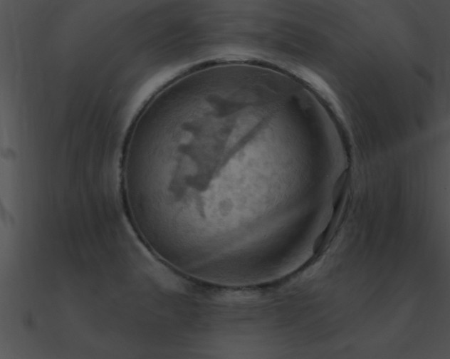X0000090981183200708021452