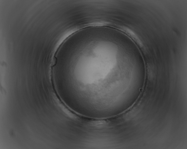 X0000090981186200708021452