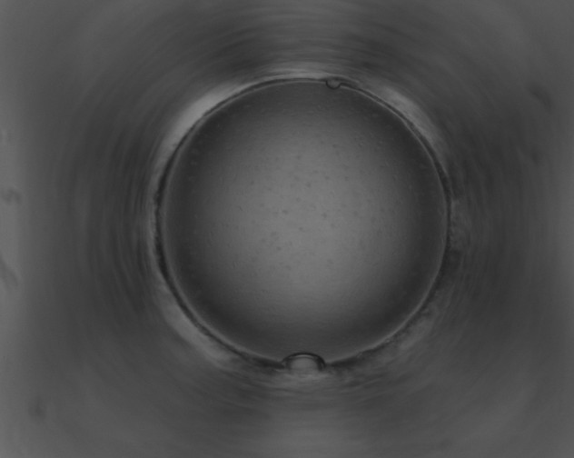 X0000090981187200708021452