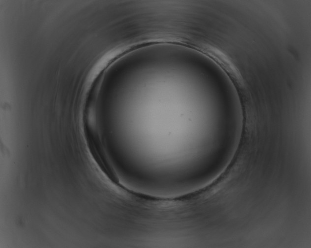 X0000090981188200708021452