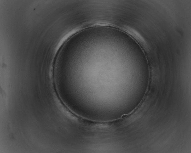 X0000090981190200708021452