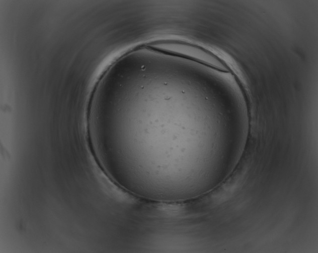 X0000090981191200708021452