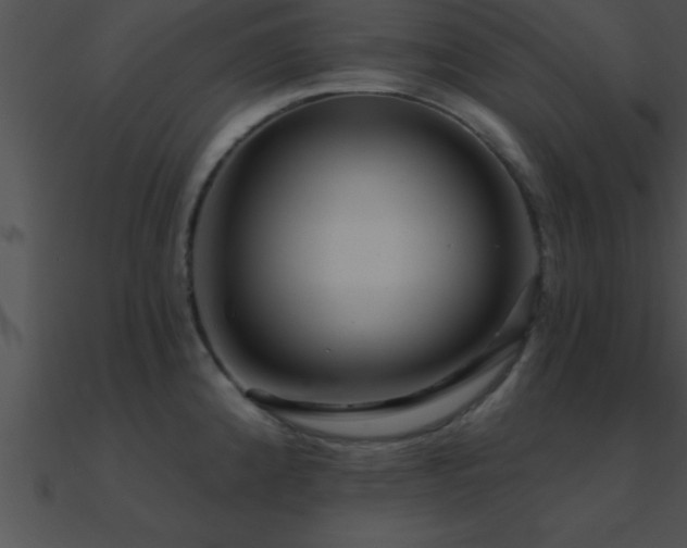 X0000090981192200708021452