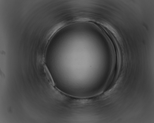 X0000090981193200708021452
