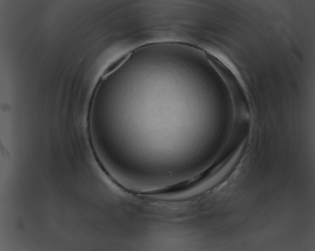X0000090981197200708021452
