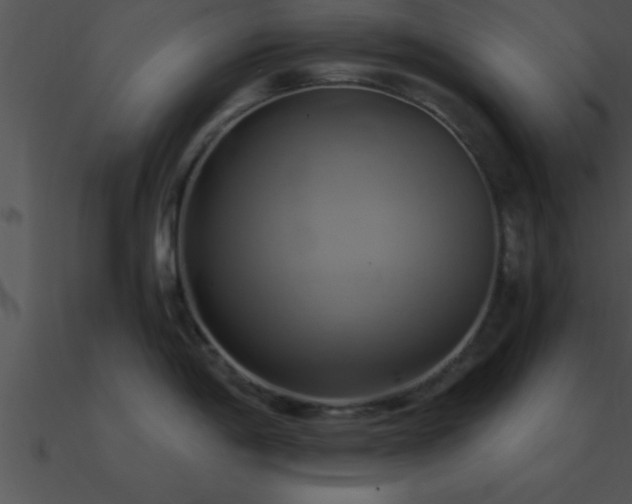 X0000090981198200708021452